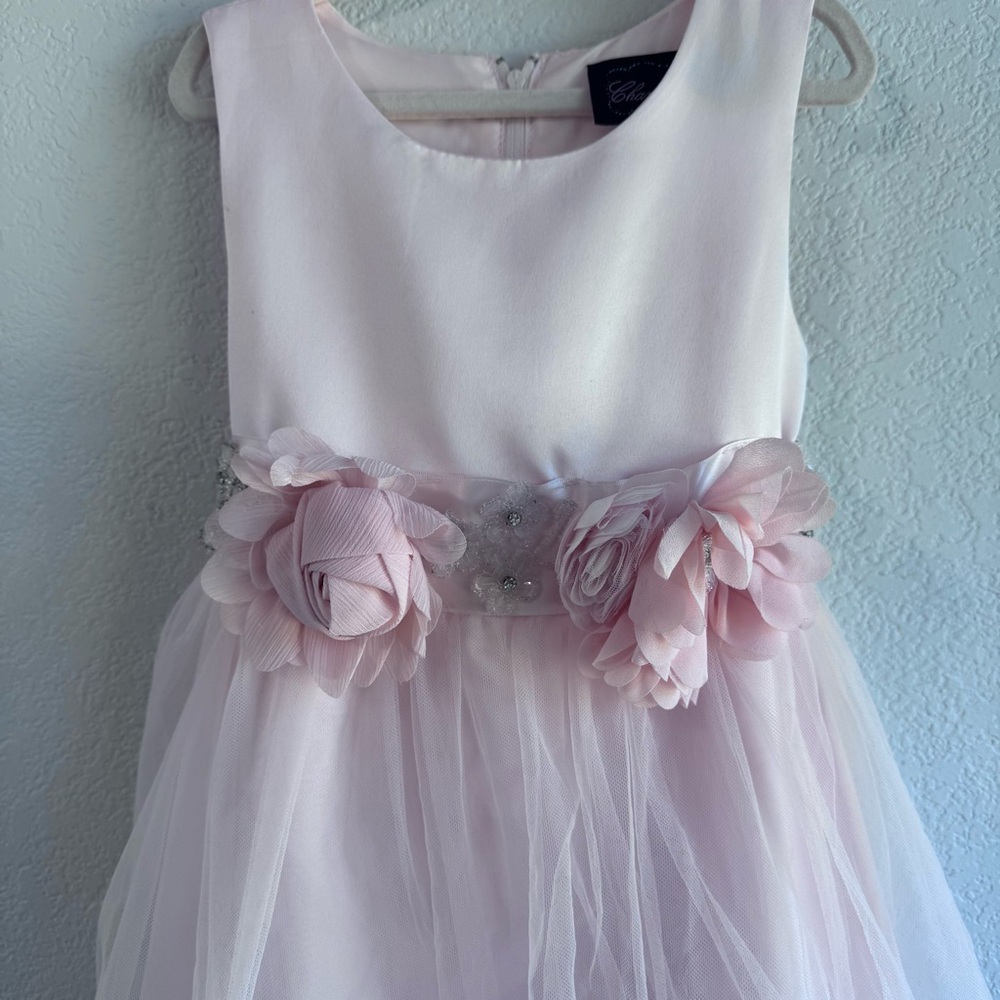 Chantilly Place Sleeveless Blush-Pink Floral Waist Tulle Gown for Girls. Size 5. - Picture 3 of 17